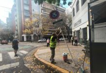 Detectan Cuatro Estacionamientos Falsos para Personas con Discapacidad en una Sola Cuadra