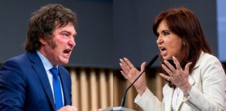 Javier Milei Lanza Una Viñeta Contra el Kirchnerismo: «El kirchnerismo es esto»