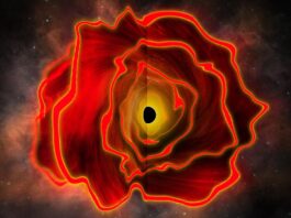 Revolución Astronómica: Descubren la Primera «Estrella Agujero Negro» en el Universo