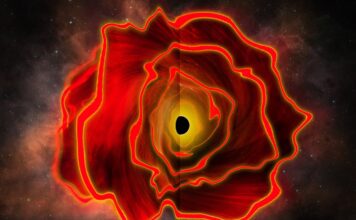 Revolución Astronómica: Descubren la Primera «Estrella Agujero Negro» en el Universo