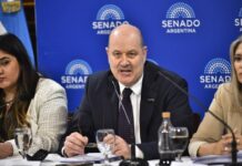 El Senado Argentino Debate la Creación de Sociedades Automatizadas y DAOs