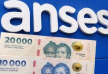 ANSES Revela el Calendario de Pagos de Agosto 2026: Conoce Todas las Fechas