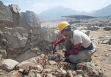 Arqueólogos Chinos Inician Primer Proyecto Conjunto en Sudamérica