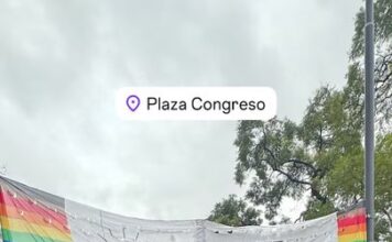 Famosos se Unen en la Lucha por la Tierra: Marcha Frente al Congreso