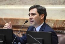 Goerling Respalda a Macri como Candidato 2027 y Rechaza Eliminación de las PASO