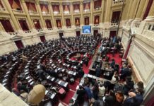 El oficialismo aprueba el Tratado de Patentes en Diputados, pero con reservas