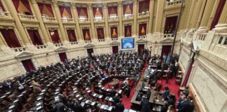 El oficialismo aprueba el Tratado de Patentes en Diputados, pero con reservas