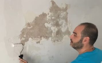 Guía definitiva para reparar paredes afectadas por la humedad