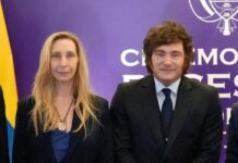 Los Desafíos del Gobierno de Milei: Entre la Teoría y la Realidad
