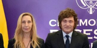 Los Desafíos del Gobierno de Milei: Entre la Teoría y la Realidad