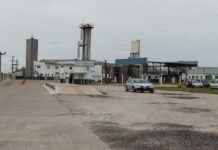 Sudamericana de Lácteos reanuda producción tras cambio de dueño: ¿qué implicaciones tiene para el sector?