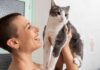 Los Gatos y las Emociones Humanas: Un Estudio Revelador