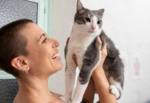 Los Gatos y las Emociones Humanas: Un Estudio Revelador