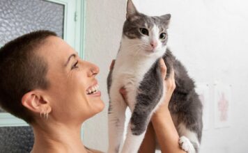 Los Gatos y las Emociones Humanas: Un Estudio Revelador