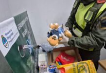 Descubren marihuana oculta en un oso de peluche en un operativo de Gendarmería