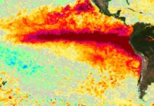 El fenómeno «Súper Niño» podría ser el más fuerte desde 1950 y genera alertas en la provincia