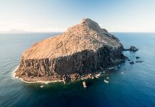 La increíble recuperación de la isla Redonda tras la erradicación de ratas y cabras