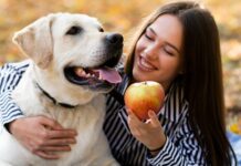 Las 5 Frutas Seguras para Compartir con Tu Perro Según Expertos