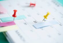 Revive la Historia: Efemérides del 8 de agosto y el Día Internacional del Gato