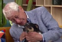 La emotiva despedida de un anciano y su perro conmueve a España