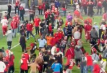 Violencia en el Fútbol Colombiano: Barrabravas Interrumpen Partido en Bogotá