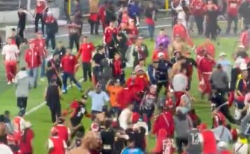 Violencia en el Fútbol Colombiano: Barrabravas Interrumpen Partido en Bogotá