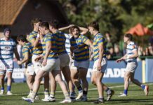Top 14 de la URBA: Los Tilos frena a CASI y Newman se mantiene invicto