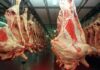 Cámaras Frigoríficas Respaldan Aportes al Ipcva y Rechazan Cambios del Gobierno