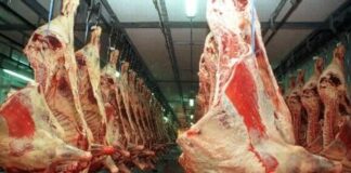 Cámaras Frigoríficas Respaldan Aportes al Ipcva y Rechazan Cambios del Gobierno