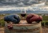 La guerra del vino se intensifica: Fecovita denuncia a ex socios por lavado de activos