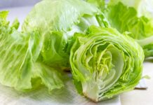 Estados Unidos investiga brote de ciclosporiasis vinculado a lechuga de Guanajuato