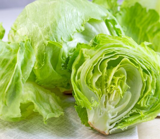 Estados Unidos investiga brote de ciclosporiasis vinculado a lechuga de Guanajuato