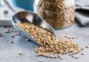 Descubre la semilla que fortalece tu masa muscular y los mitos alimenticios del verano