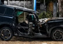 Crisis del Arbolado Público: Cinco Muertes y un Llamado a la Acción