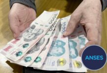 Jubilaciones de agosto: Fechas clave para quienes tienen DNI terminado en 4