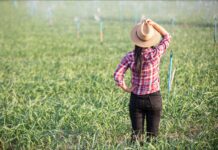 El temor de los trabajadores agrícolas en EE.UU.: la historia de Yasmine y su lucha diaria
