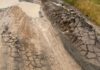 La Crisis Vial en Argentina: Sentencias que No Resuelven el Problema