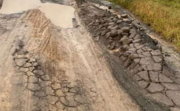 La Crisis Vial en Argentina: Sentencias que No Resuelven el Problema