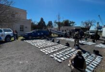 Desmantelan red de narcotráfico: Prefectura incauta 500 kilos de cocaína en el Río Paraná