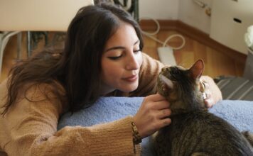 Descubre cómo los gatos eligen a su persona favorita y los secretos detrás de su vínculo