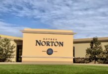 Imputaciones por Presunta Defraudación en Bodega Norton: Tres Directivos en la Mira