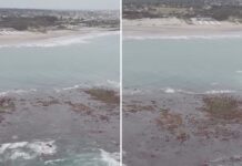 La sorprendente «isla» que apareció en la costa argentina: descubre su origen