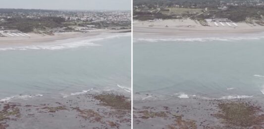 La sorprendente «isla» que apareció en la costa argentina: descubre su origen