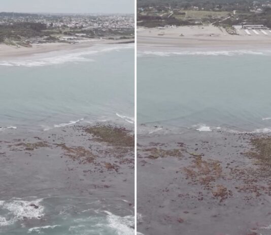 La sorprendente «isla» que apareció en la costa argentina: descubre su origen