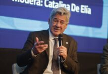 Nicolás Pino: «El campo argentino necesita recuperar competitividad»