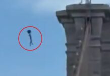 Hombre desnudo salta del puente de Brooklyn con mochila improvisada y sobrevive