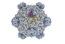 La Inteligencia Artificial en la Creación de Virus: ¿Un Avance o un Riesgo?