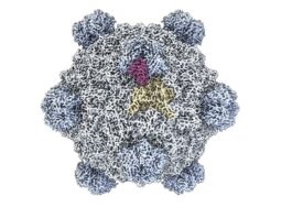 La Inteligencia Artificial en la Creación de Virus: ¿Un Avance o un Riesgo?