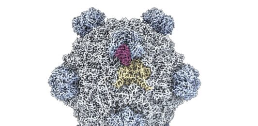 La Inteligencia Artificial en la Creación de Virus: ¿Un Avance o un Riesgo?