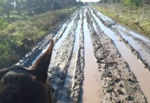 La lucha diaria de una directora escolar ante caminos intransitables